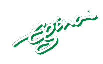 Egina Logo
